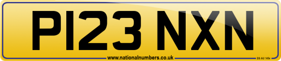 P123 NXN