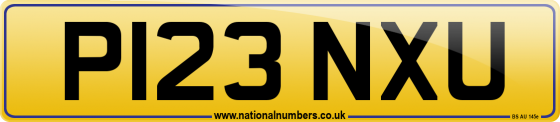P123 NXU