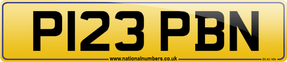 P123 PBN