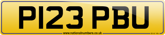 P123 PBU