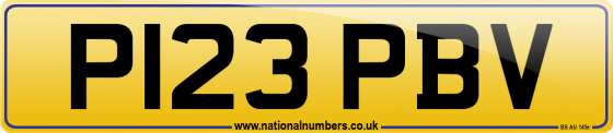 P123 PBV