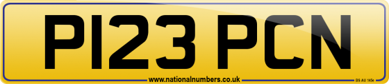 P123 PCN