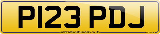 P123 PDJ