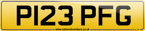P123 PFG
