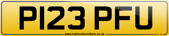 P123 PFU