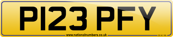 P123 PFY