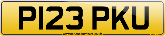 P123 PKU