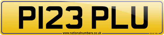P123 PLU