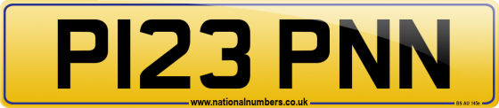 P123 PNN