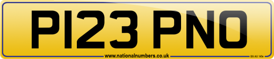 P123 PNO