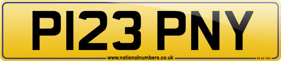 P123 PNY