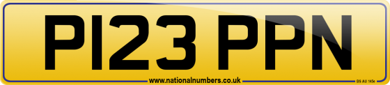 P123 PPN