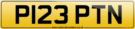 P123 PTN