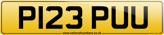 P123 PUU