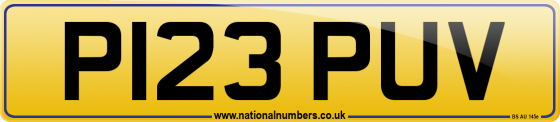 P123 PUV