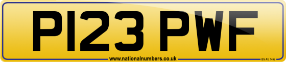 P123 PWF