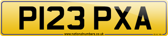 P123 PXA
