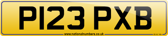 P123 PXB