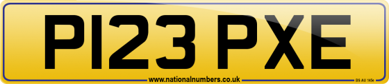 P123 PXE