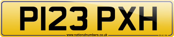 P123 PXH