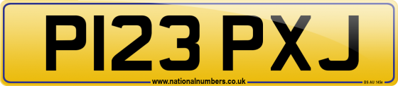 P123 PXJ
