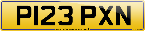 P123 PXN
