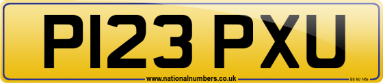 P123 PXU