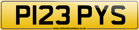 P123 PYS