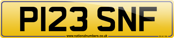 P123 SNF