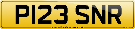 P123 SNR