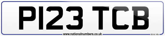 P123 TCB