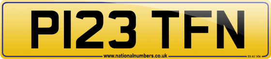 P123 TFN