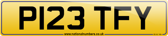 P123 TFY