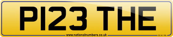P123 THE