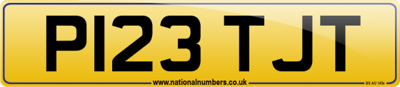 P123 TJT