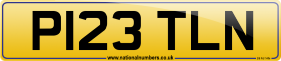 P123 TLN