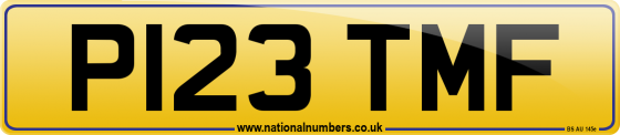 P123 TMF