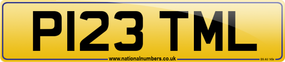 P123 TML