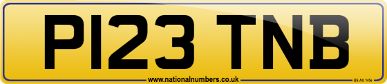 P123 TNB