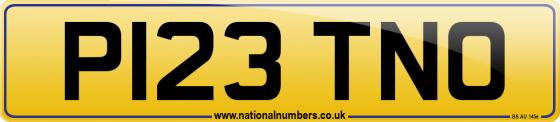 P123 TNO