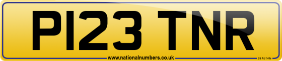 P123 TNR
