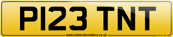 P123 TNT