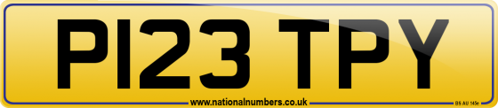P123 TPY