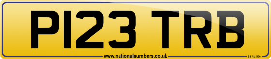 P123 TRB