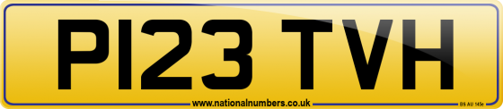 P123 TVH