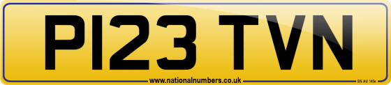 P123 TVN