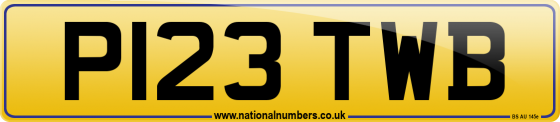 P123 TWB