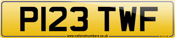 P123 TWF