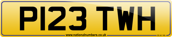 P123 TWH