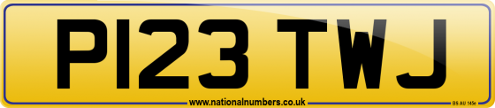 P123 TWJ